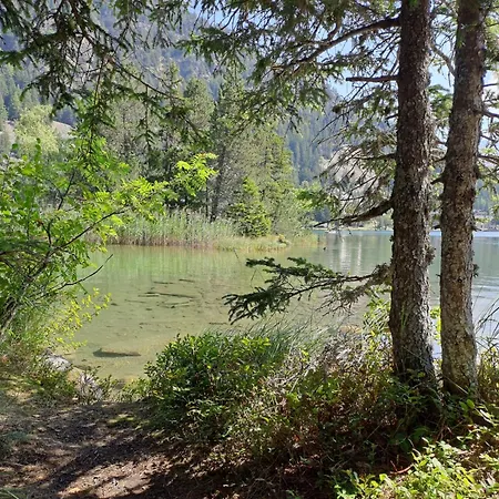 Daire Alpes Et 2 By Interhome